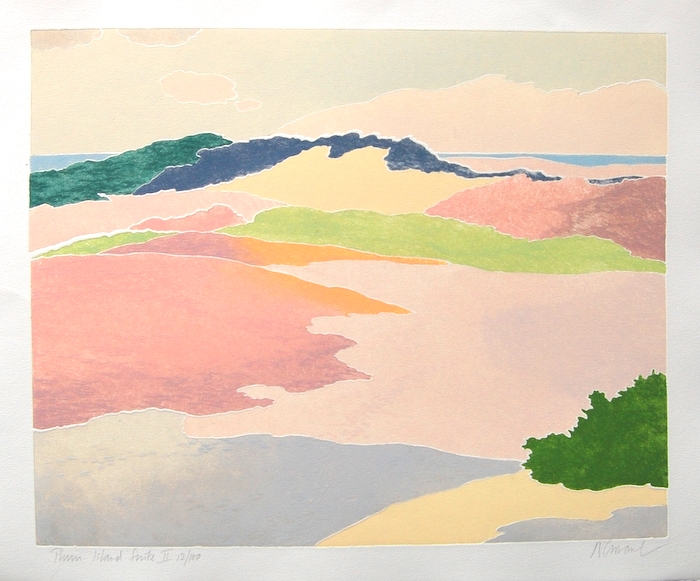 Print of Plum Island II