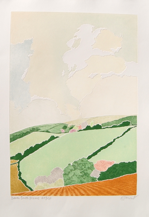 Print of Devon South Hams